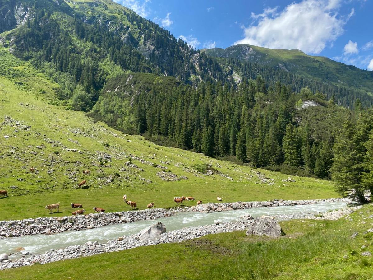 Neukirchen am Großvenediger Penthaus Kitzebueheler Alpen 아파트 외부 사진