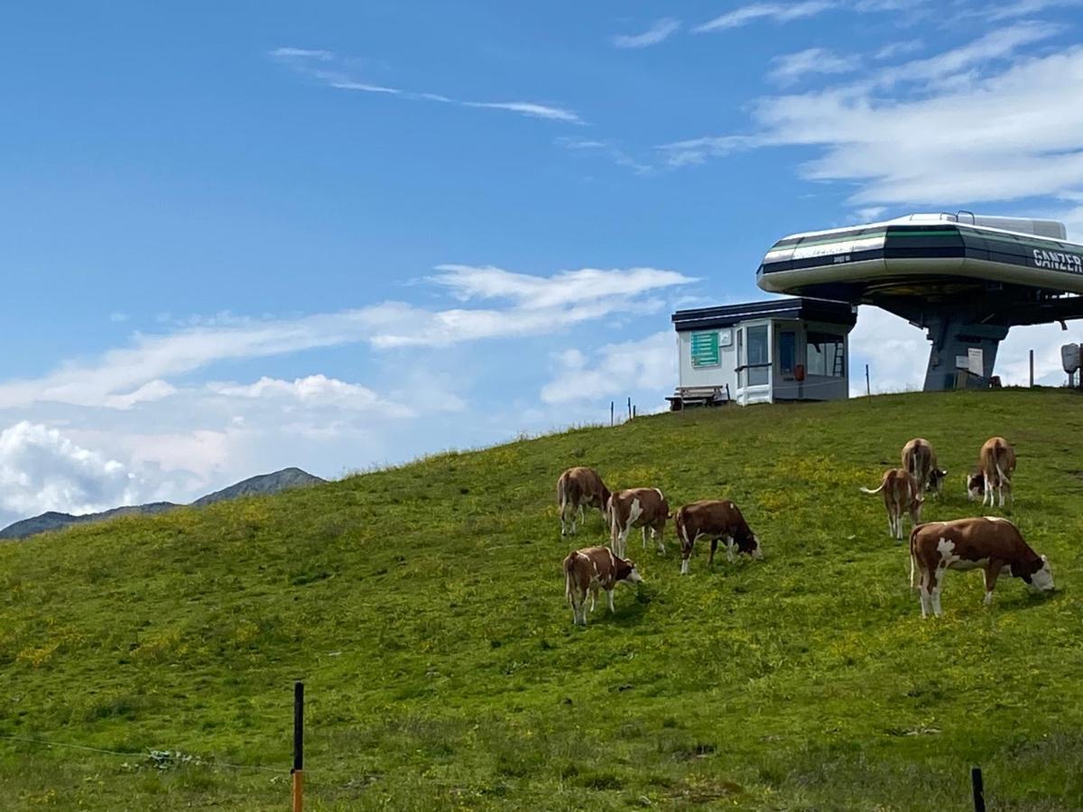 Neukirchen am Großvenediger Penthaus Kitzebueheler Alpen 아파트 외부 사진